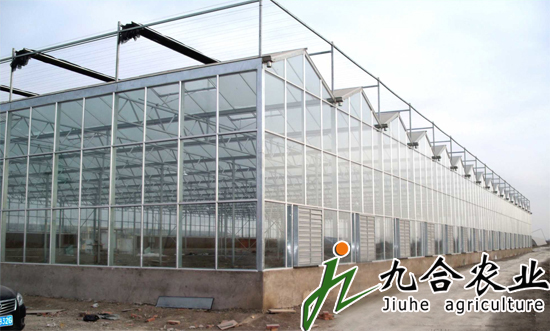 天津汉沽玻璃智能温室生态园