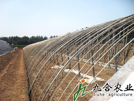 钢架温室|温室大棚|温室大棚建设|温室大棚造价|温室大棚图片|温室大棚建造 钢架温室|温室大棚|温室大棚建设|温室大棚造价|温室大棚图片|温室大棚建造