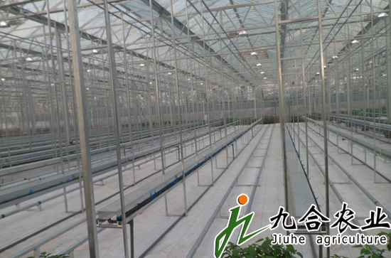 玻璃温室|连栋温室|智能温室|温室图片|温室工程 玻璃温室|连栋温室|智能温室|温室图片|温室工程
