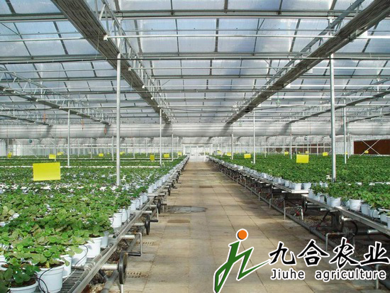 玻璃温室|连栋温室|智能温室|温室图片|温室工程 玻璃温室|连栋温室|智能温室|温室图片|温室工程