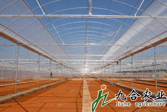 薄膜连栋智能温室|温室大棚 薄膜连栋智能温室|温室大棚