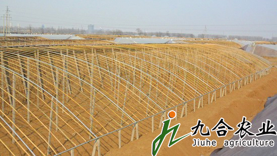 蔬菜大棚建设|蔬菜温室大棚 蔬菜大棚建设|蔬菜温室大棚