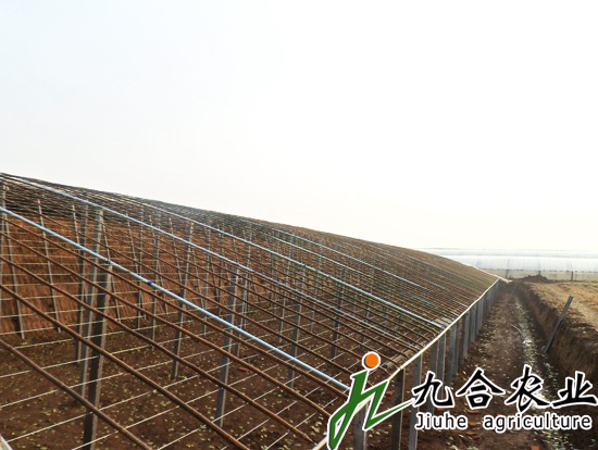 蔬菜大棚建设|蔬菜温室大棚 蔬菜大棚建设|蔬菜温室大棚