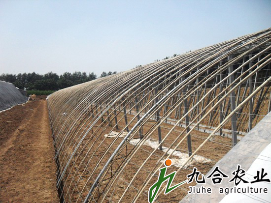 蔬菜温室大棚|蔬菜大棚建设 蔬菜温室大棚|蔬菜大棚建设