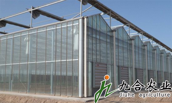 江苏省如皋市玻璃智能温室现代农业基地