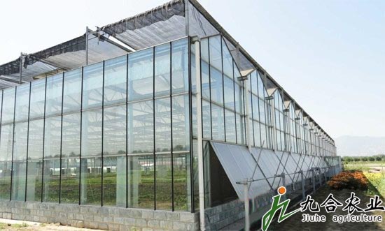 天津汉沽区智能温室花卉基地