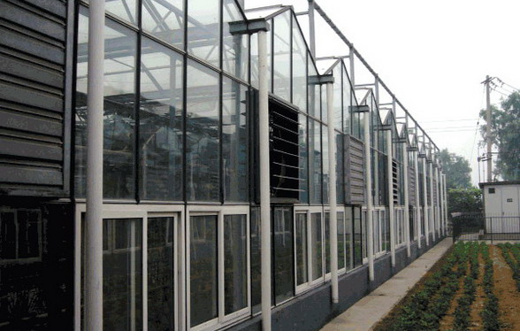 玻璃温室大棚地基施工注意事项，设施农业大棚建设须知!