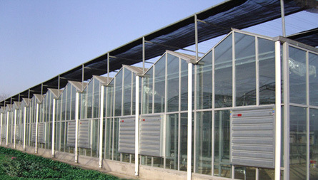 温室大棚建设过程中增强保温性的几个细节？