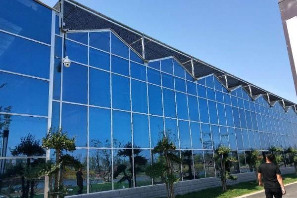 玻璃温室大棚阳光房生态餐厅建造中注意事项，避免踩雷!