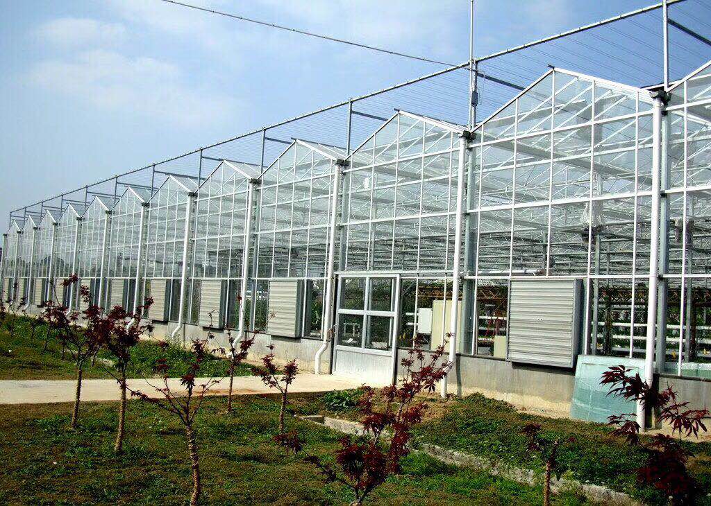 玻璃连栋温室大棚建设特点及温室设计结构！